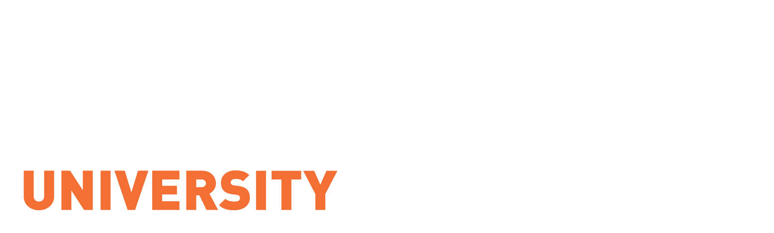 Dubai Palace CTD