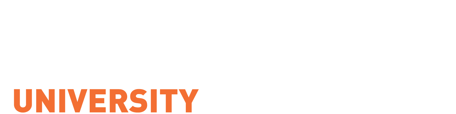 Dubai Palace CTD