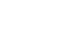 3. Logo SBF