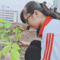 Img 20191013 150445 Ngan Nguyen