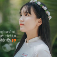 Banner Aivi Hình Trong Bài