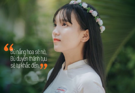 Banner Aivi Hình Trong Bài