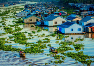 Thumb Nhỏ