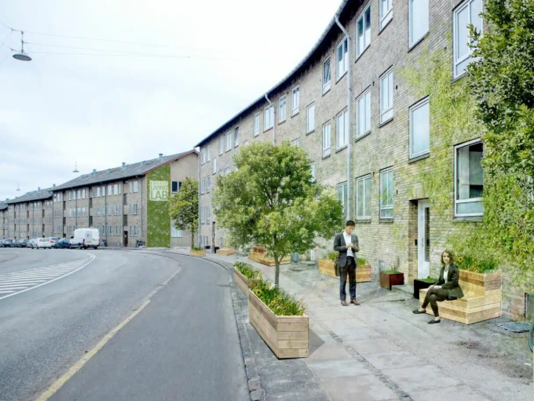 Picture4