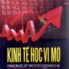 KINH TẾ VI MÔ MANKIW