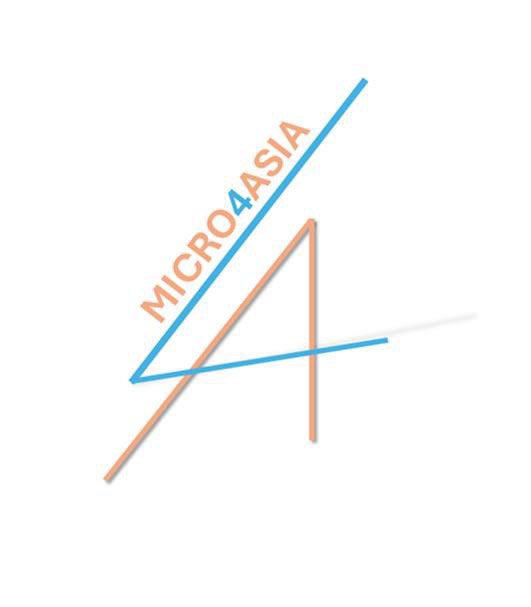 MICRO4ASIA Project Advances Micro-Credential Development Through a Hands-on Workshop and an Annual Meeting in Dubrovnik