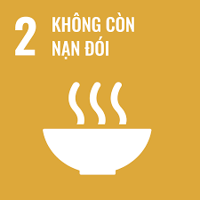 khong-con-nan-doi