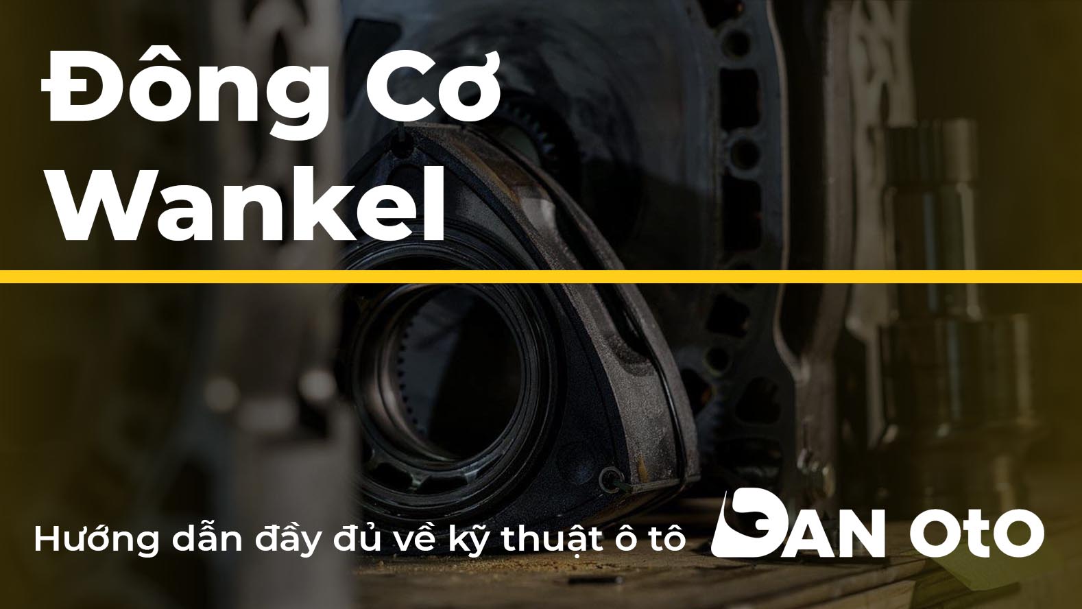 dong co wankel