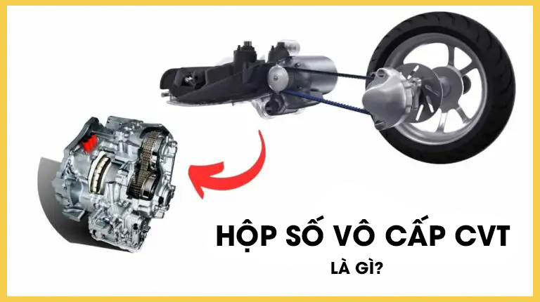 hop-so-vo-cap-cvt